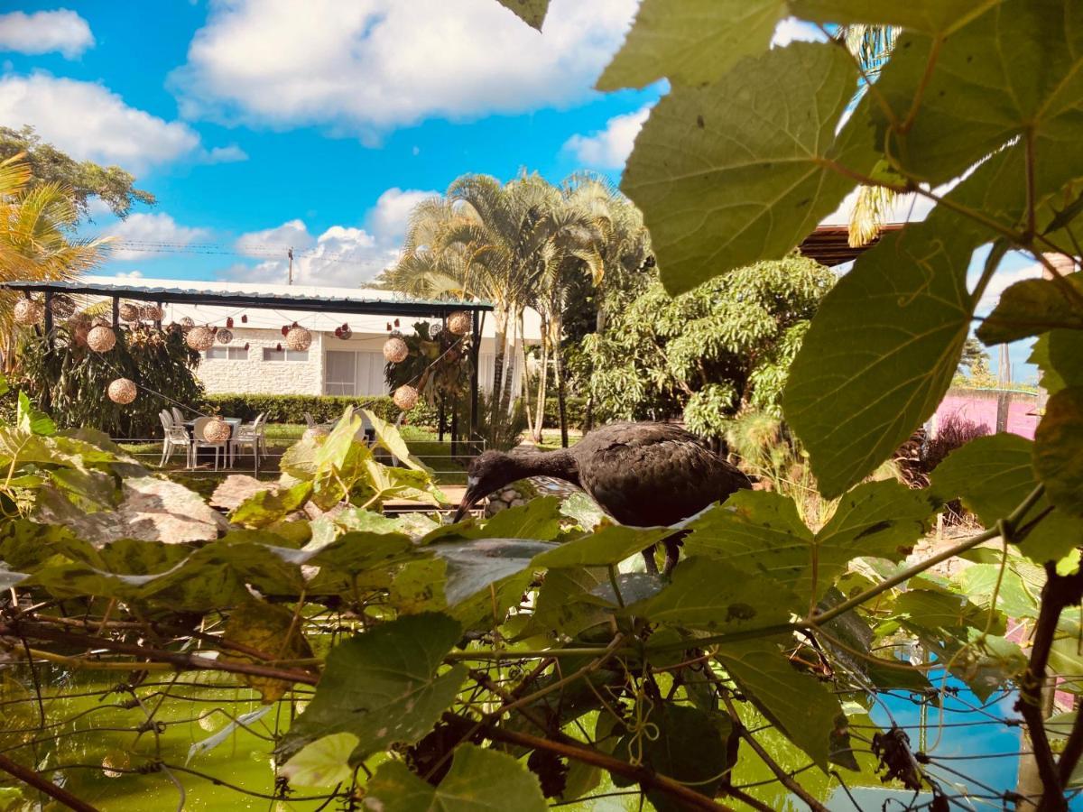Villa Cristal Santa Elena  외부 사진